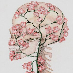 Meet your Posher, dolly